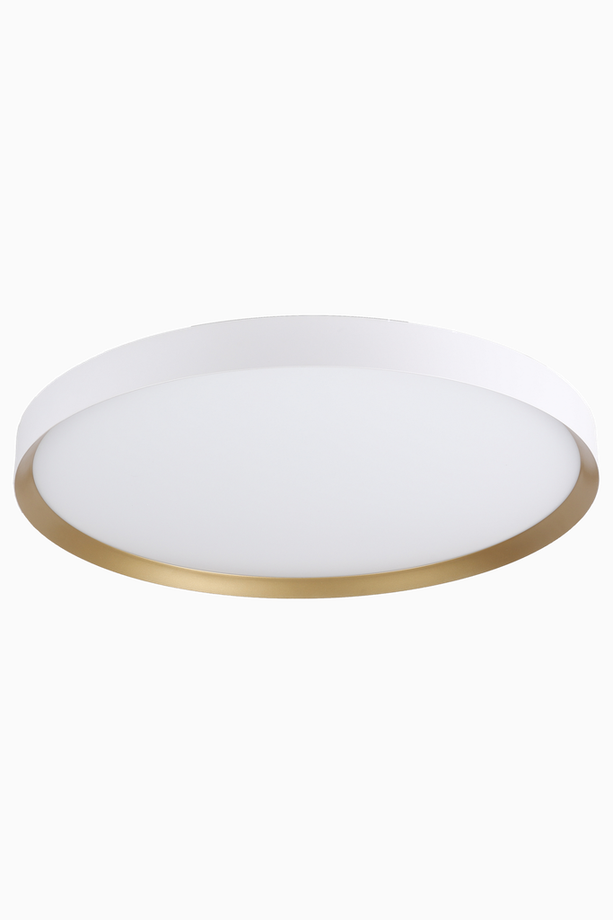 63687 imagen extra 1