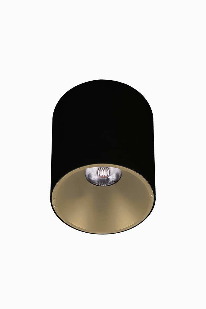 60509OC extra image 1