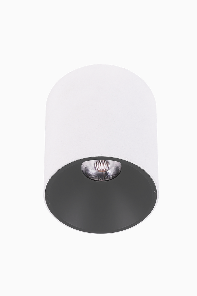 60513PMSR extra image 1