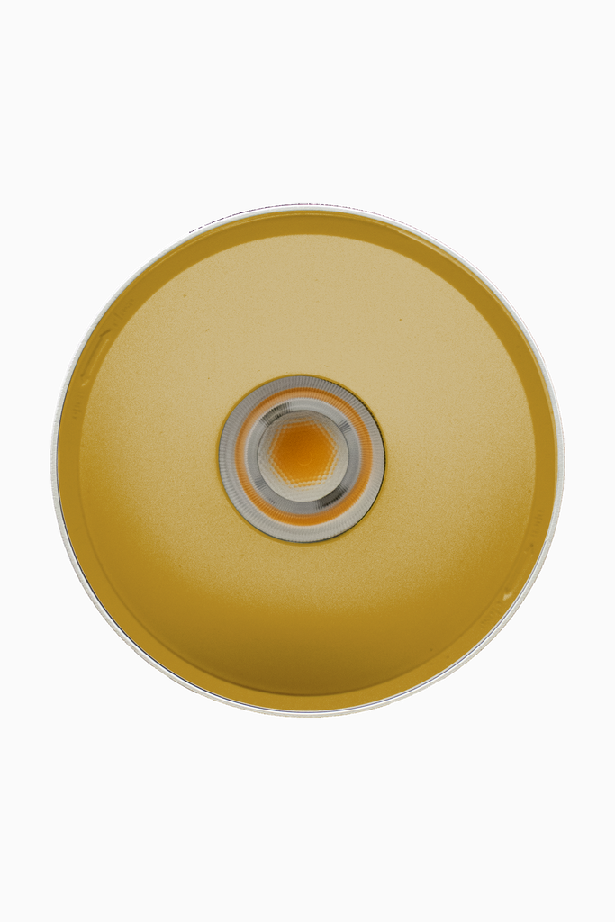 DOWNLIGHT ELSA BLANCO SUPERFICIE 30W 4000K 45º ORO S/R