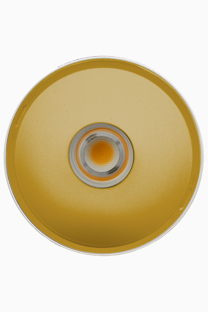 DOWNLIGHT ELSA BLANCO SUPERFICIE 40W 3000K 30º ORO S/R