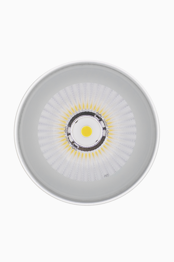 [60474] DOWNLIGHT PAU BLANCO SUP 12W CCT IP65