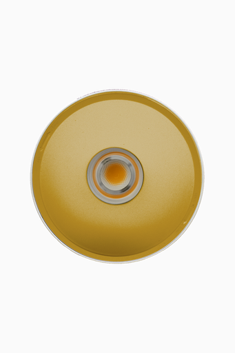 [60506OC] DOWNLIGHT ELSA BLANCO SUPERFICIE 20W 3000K 45º ORO DALI/PUSH