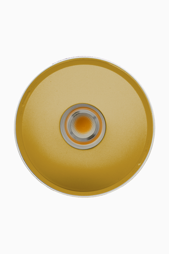 [60513OB] DOWNLIGHT ELSA BLANCO SUPERFICIE 30W 4000K 45º ORO 1-10V