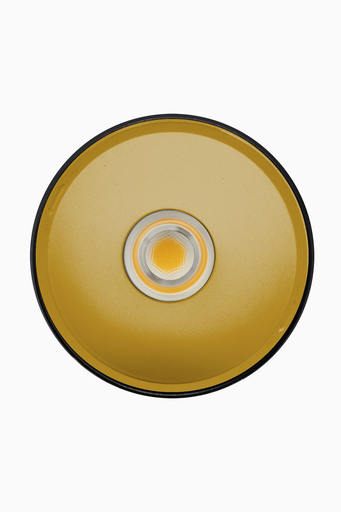 [60515OB] DOWNLIGHT ELSA NEGRO SUPERFICIE 30W 3000K 45º ORO 1-10V